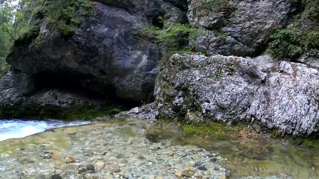Прогулка по лесу/ Walk in the woods/ Звуки природы/ Шум леса/ Пение птиц/ Журчание ручья/ #relax смотреть онлайн