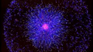 Фильм "ДЕНЬГИ" . Сенсационный фильм по привлечению денег (HD качество) Мысли материальны!