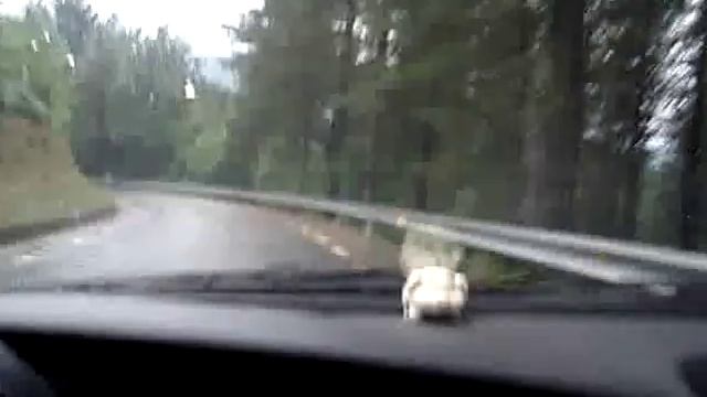 Nissan Primera P10 2.0eGT paseito en mojado смотреть онлайн
