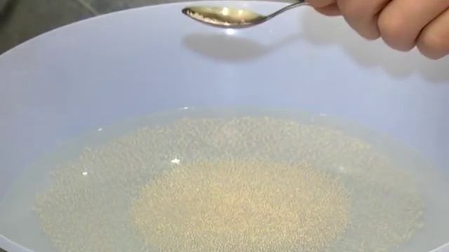 Растут, как на дрожжах! Как спасти домашнее растение? смотреть онлайн