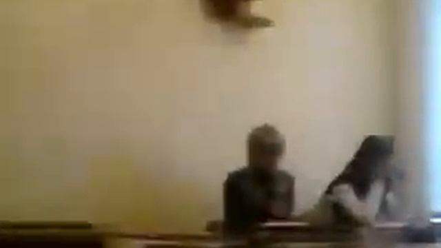 школа 61 смотреть онлайн