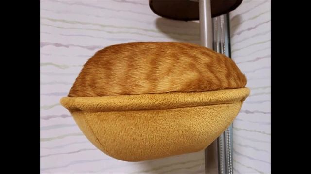 Почему христианство авраамическая религия | Ежи Сармат