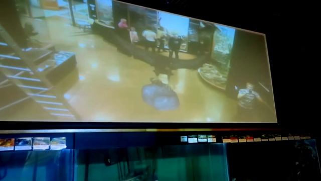 Дополненная реальность Музей им Гродекова смотреть онлайн