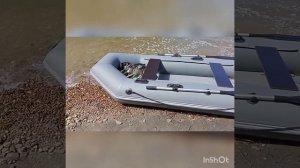 Роджер стандарт 3000