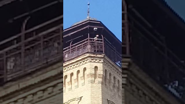 Беларусь, Гродно. Трубач на Башне (каланче) с помощью духовой трубы оповещает, что наступил полдень смотреть онлайн
