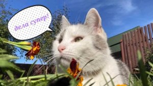 ИСТОРИИ АНУКА ДАВАЙКА!