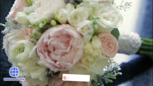 Gulab Ke Phool Colorful Nature Video | Different Colorful Roses Flower and Plants | Universal Datco смотреть онлайн