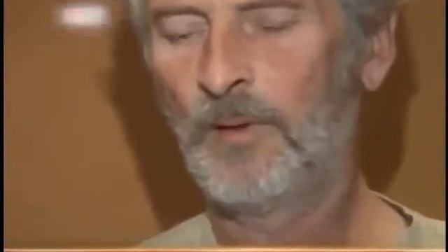 Инвалидная коляска для таксы Dog in a wheelchair Дай Лапу! смотреть онлайн