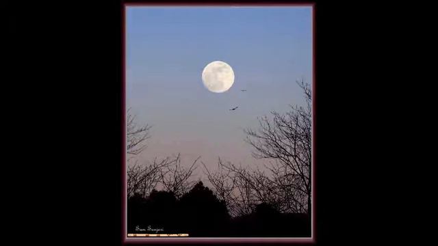 Meditative Moments On Ney (flute) Music For Your  Soul. Relaxing Music