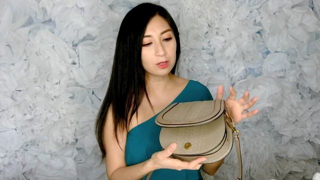 Chloé Nile Handbag Review & Mod - Shots | Python leather w/ Flaws?? | Alexa Style Book смотреть онлайн