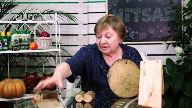 ДОМИК ДЛЯ НАСЕКОМЫХ?ПОМОЩНИКИ В САДУ? смотреть онлайн