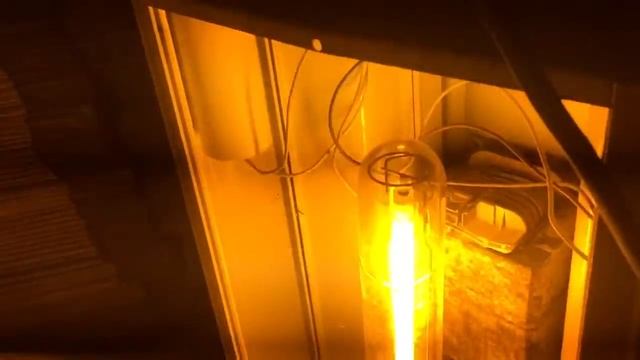 Краш тест Лампы ДНаТ 600 ватт Филипс Грин Пауер Phillips green power смотреть онлайн