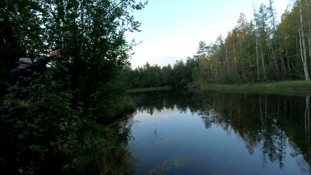 УДОЧКИ В ДУГУ. ПОКЛЁВКИ КАРАСЯ НА КАЖДОМ ЗАБРОСЕ. ПРОСТО КАЙФ. смотреть онлайн