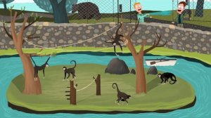 Животные, Сбежавшие Из Зоопарков