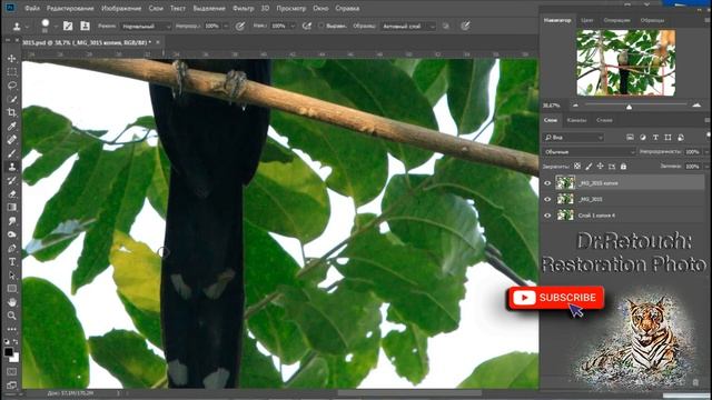 Как удалить лишний элемент на фото /How to delete an object (branch) on photo in Photoshopм/tutoria
