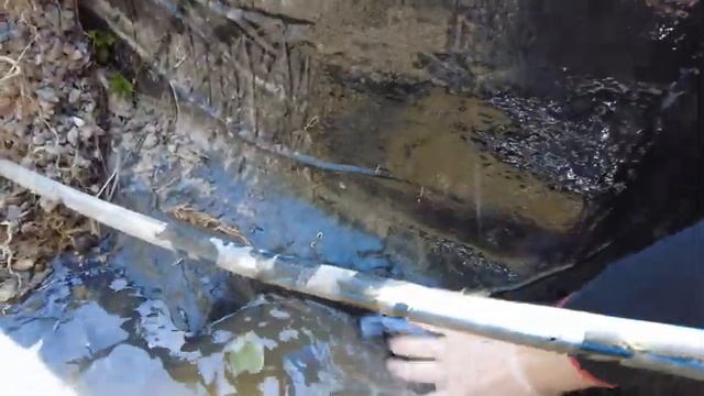 Пленка для пруда Винилит через 5 лет эксплуатации | ПРУД ПРУДИ смотреть онлайн