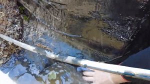 Пленка для пруда Винилит через 5 лет эксплуатации | ПРУД ПРУДИ