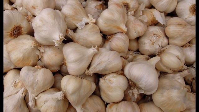 СТИМУЛЯТОР РОСТА ДЛЯ ОГОРОДА СВОИМИ РУКАМИ! САДОВОДЫ В ШОКЕ! ВСЁ РАСТЁТ В ОГОРОДЕ КАК НА ДРОЖЖАХ! смотреть онлайн