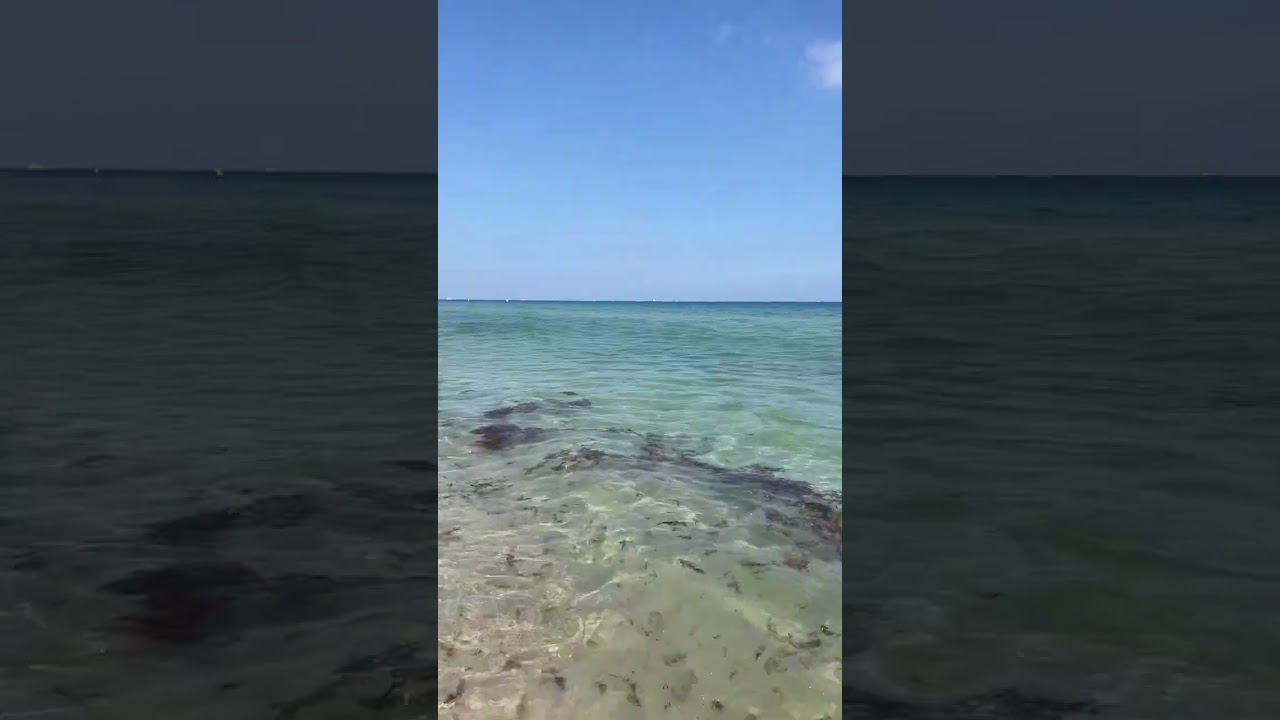 Priscilla Ricart смотреть онлайн