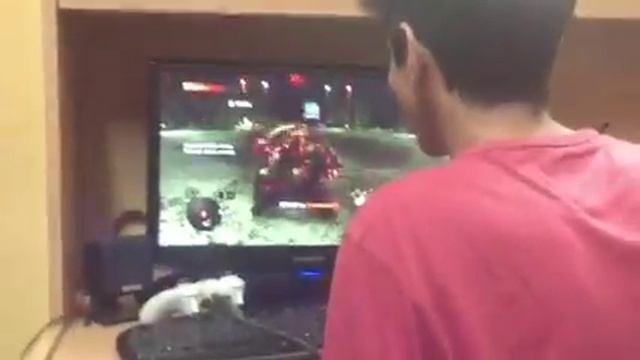 Prototype 2 multiplayer смотреть онлайн