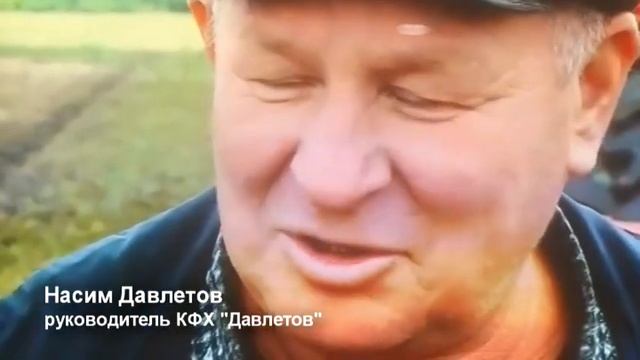 В КФХ "Давлетов" идёт уборка картошки смотреть онлайн