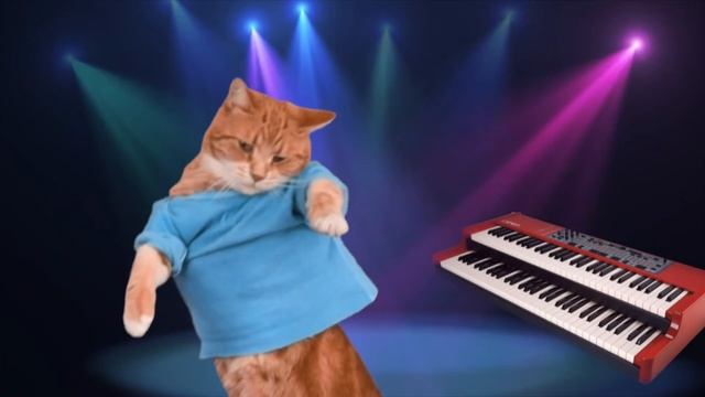KEYBOARD CATS GROOVY DANCE смотреть онлайн
