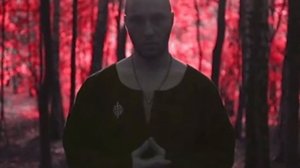 Типси Тип - Лес дал