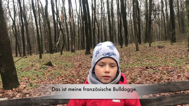 Урок немецкого. Im Park Mit Charlie - В парке с Чарли. Учим немецкий на прогулке с бульдожкой.