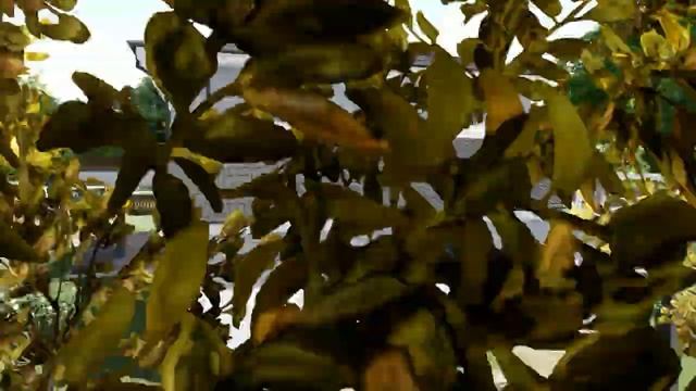 3D визуализация архитектурного проекта Bex II. Дом из СИП-панелей в Швейцарии. смотреть онлайн