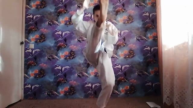КАРАТЕ! КИХОН НА 3,4,5,6,7,8,9,10 КЮ ШОТОКАН КАРАТЕ / KIHON 3,4,5,6,7,8,9,10 KYU SHOTOKAN KARATE смотреть онлайн
