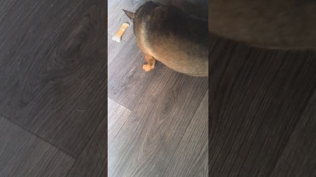 ВСЁ СМЫЛСЯ смотреть онлайн