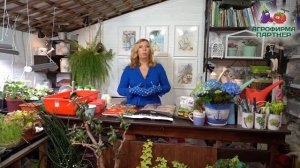 ГОТОВИМ ПРАВИЛЬНЫЙ ГРУНТ ДЛЯ РАССАДЫ