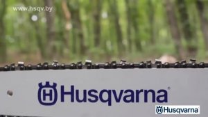 Бензопила Husqvarna 240   обзор бензопилы