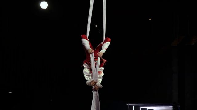Catwalk Vladimir 2021 aerial silks art