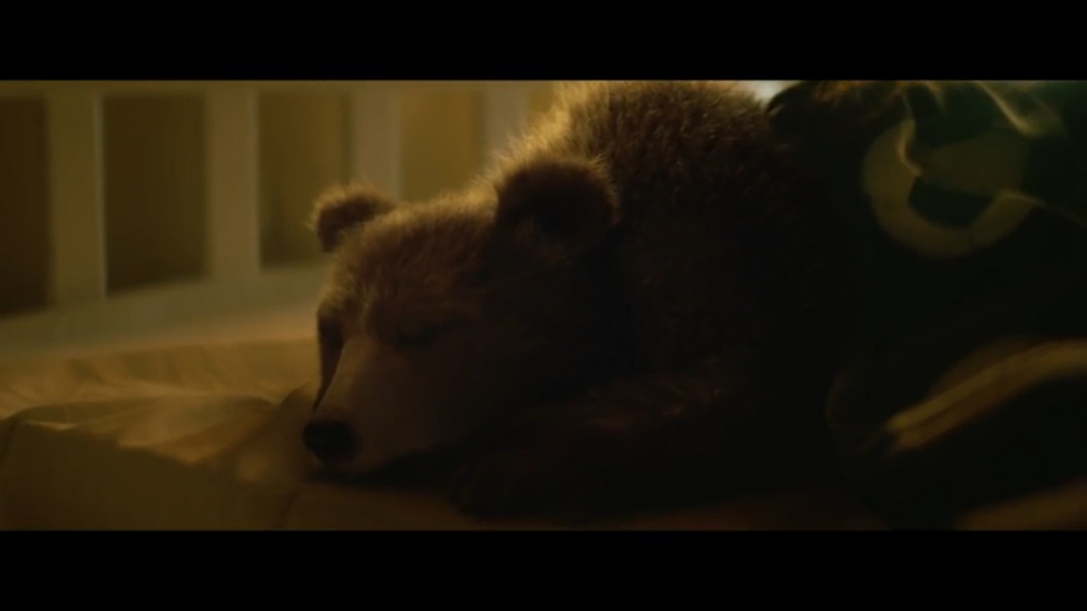 Даже медведи устают смотреть онлайн