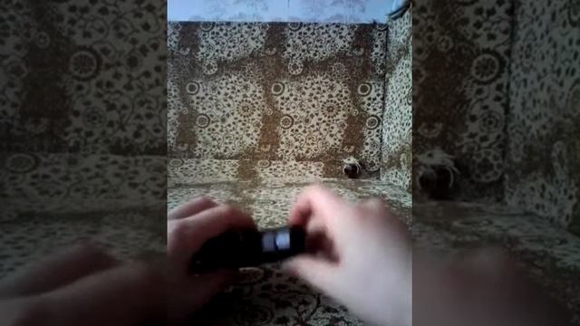 Обзор фанарика [ЗБС]-Китай