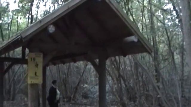 Франция. Страсбург. Парк Вандзено 2016 г. смотреть онлайн