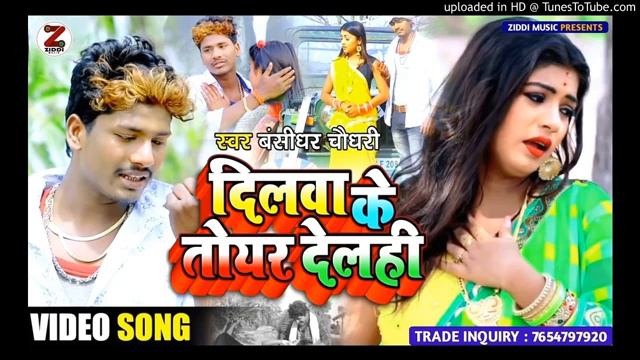 Torri Ke Dil Hme Jebige Jan Kena Ke Sibo Dehl Jkhm    Bansidhar Choudhary Ka New Video