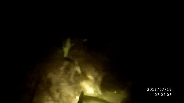Подводная охота ночная. смотреть онлайн