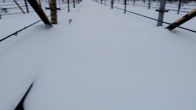 Поведение теплицы зимой .И как влияет  нагрузка снега  на плёнку.