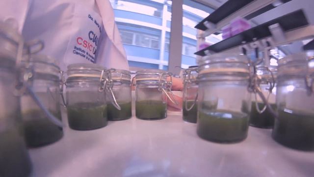 Hidrolizado SuBt смотреть онлайн