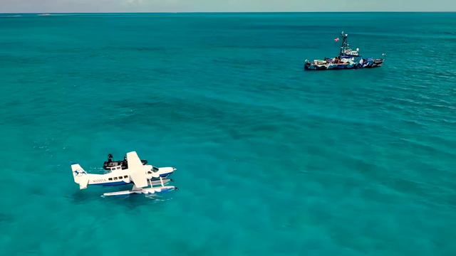 Sea Shepherd Conservation Society - 2019 End of Year Campaign Review смотреть онлайн