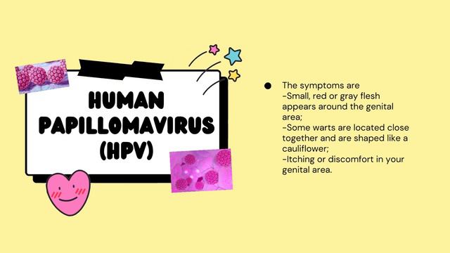 Human Reproductive Organs by Maria Napitu смотреть онлайн