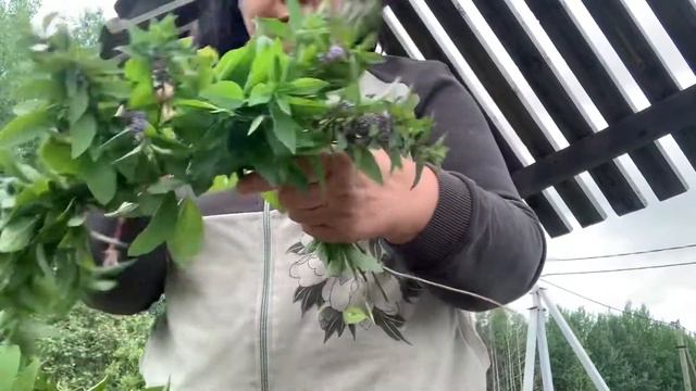 Ремонтная Фантазия