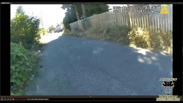 Totally Unfazed Officer Stops Perp With a Rifle смотреть онлайн
