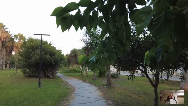 Косметология и Красота Волос