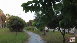 Удивительные истории из жизни Богач, по совету хирурга, простился