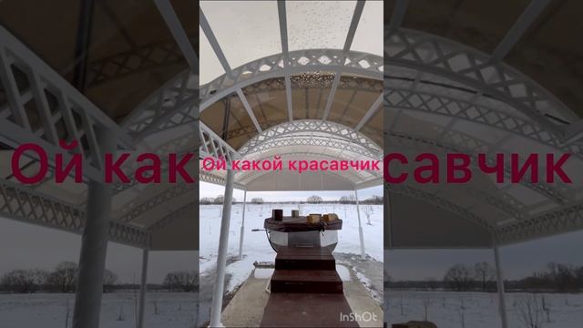 Навес из монолитного поликарбонат ????????????????????❤️