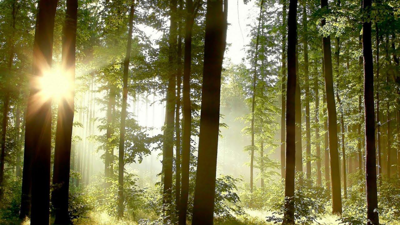 Пока не наступила Зима. смотреть онлайн