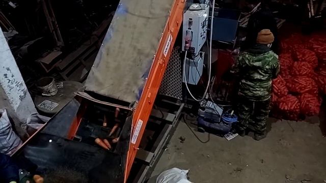 Взвешивание и упаковка овощей (моркови, картофеля, лука) в сетку на завязках. смотреть онлайн